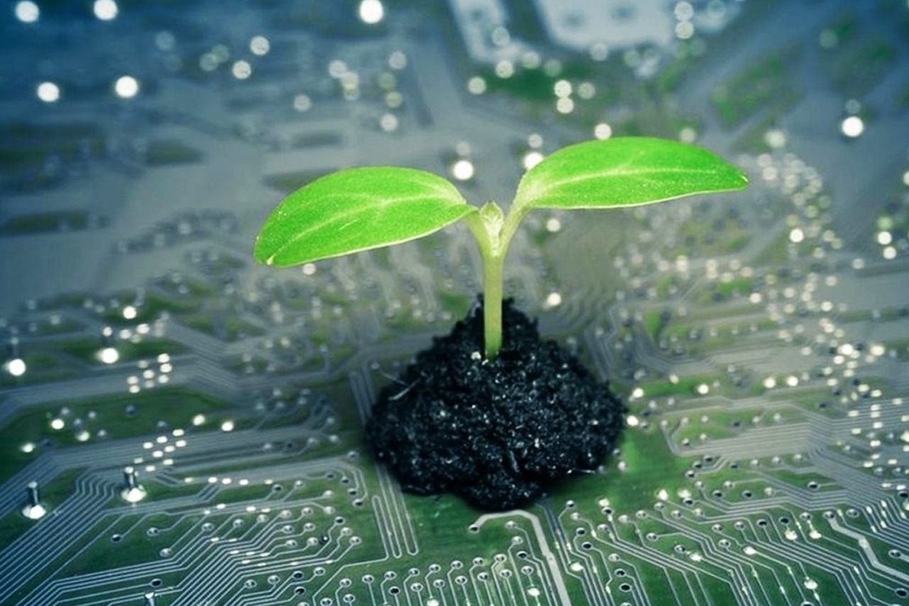 Startups africaines et développement durable